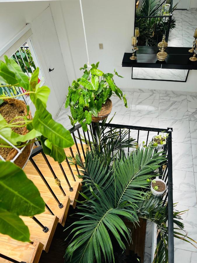 Le MARIE B&B Cartagène Extérieur photo